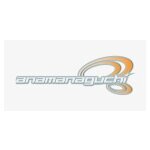 Anamanaguchi coupons and promo codes