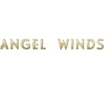 Angel of the Winds Arena coupons and promo codes