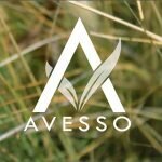 AVESSO coupons and promo codes