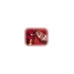 Baby Shoe Bronzing coupons and promo codes