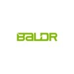 Baldr coupons and promo codes
