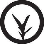 bambuearth coupons and promo codes