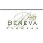 Beneva Flowers coupons and promo codes