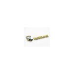 bestbizlocal coupons and promo codes