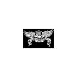 Big Joes Biker Rings coupons and promo codes