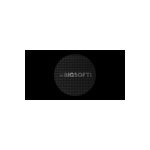 BIGSOFTI coupons and promo codes