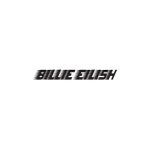Billie Eilish coupons and promo codes