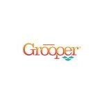 Grooper-Bisok coupons and promo codes