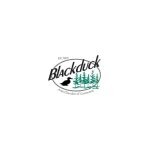 Blackduck Theatre coupons and promo codes