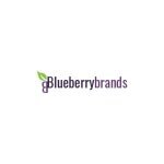 Blueberry Brands coupons and promo codes