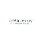 Blueberry Glasses coupons and promo codes