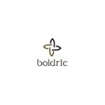 Boldric coupons and promo codes