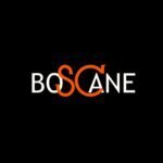 BOSCANE coupons and promo codes
