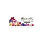 Boulevard Florist coupons and promo codes