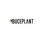 Buce Plant coupons and promo codes