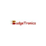 Budgetronics coupons and promo codes
