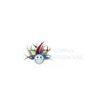 Canna Treehouse coupons and promo codes