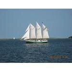 Charleston Harbor Tours coupons and promo codes