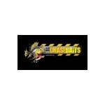 Chasebaits coupons and promo codes