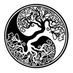 Cosmic Reality Shungite coupons and promo codes