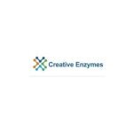 Creative Enzymes coupons and promo codes