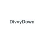 DivvyDown coupons and promo codes