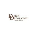 DriedDecor.com coupons and promo codes