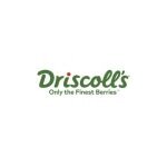 Driscoll's coupons and promo codes