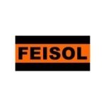 Feisol coupons and promo codes