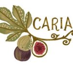 Fig of Caria coupons and promo codes