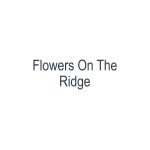 Flowers On The Ridge coupons and promo codes