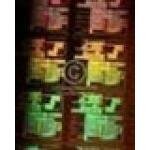 Focusspeed.com coupons and promo codes