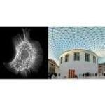 Formfunctionform.com coupons and promo codes