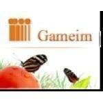 Gameim coupons and promo codes