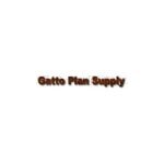Gatto Plan coupons and promo codes
