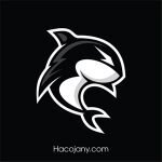 Hacojany coupons and promo codes