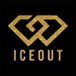Ice Out NY coupons and promo codes