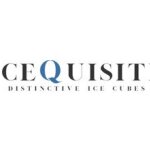 IceQuisite coupons and promo codes