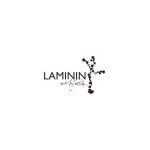 Laminin by Missy Robertson coupons and promo codes