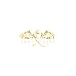 LashX’otic coupons and promo codes