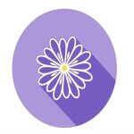 Lavender And Chamomile Codes coupons and promo codes