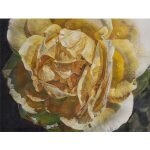 Leslie Montana coupons and promo codes