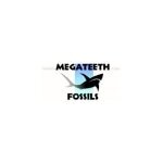 MegaTeeth coupons and promo codes