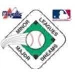 Minorleagues.com coupons and promo codes