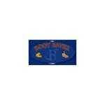 Boot Saver coupons and promo codes