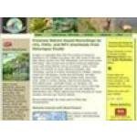 Natureguystudio.com coupons and promo codes