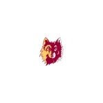Northern State Wolves coupons and promo codes