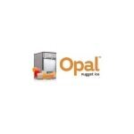 Nugget Ice coupons and promo codes