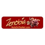 Zenobia coupons and promo codes
