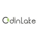 Odinlake coupons and promo codes